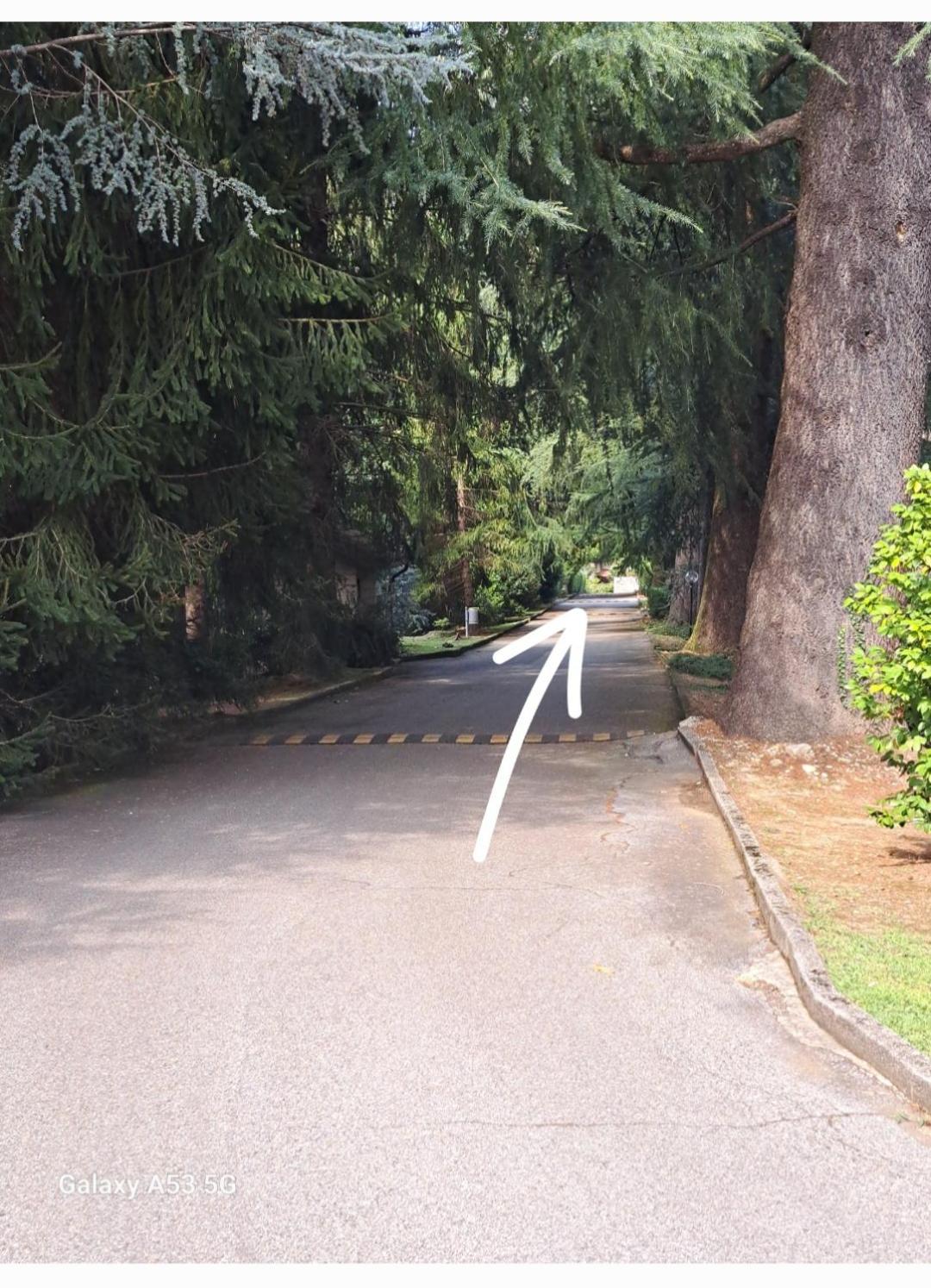 Ina Villa Lavena Ponte Tresa Kültér fotó